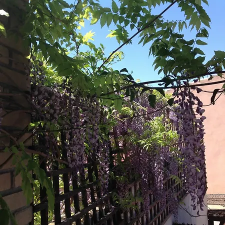 Dell'ancora *